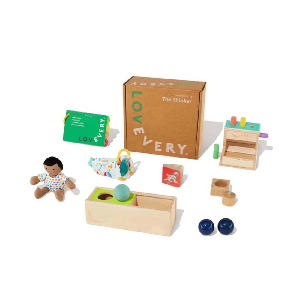 HOLD for Seraiah - Lovevery Play Kit - The Thinker (Months 11 - 12)